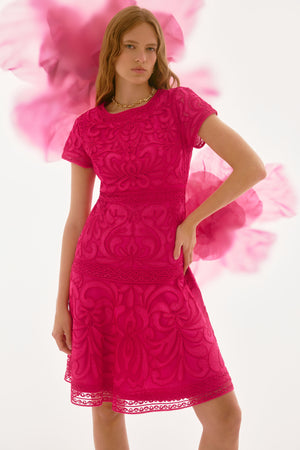 Embroidered Mesh Fit and Flare Dress