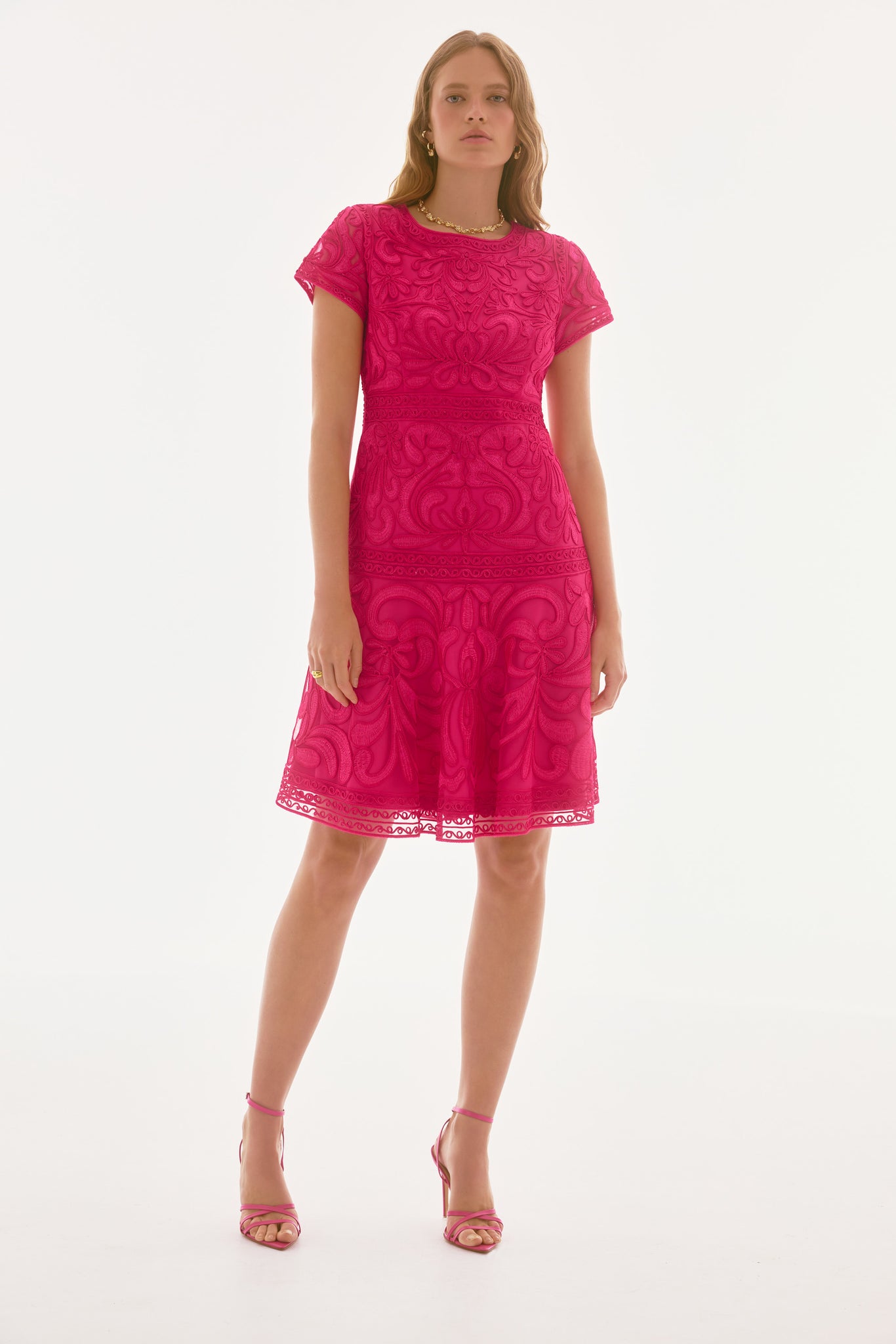 Embroidered Mesh Fit and Flare Dress