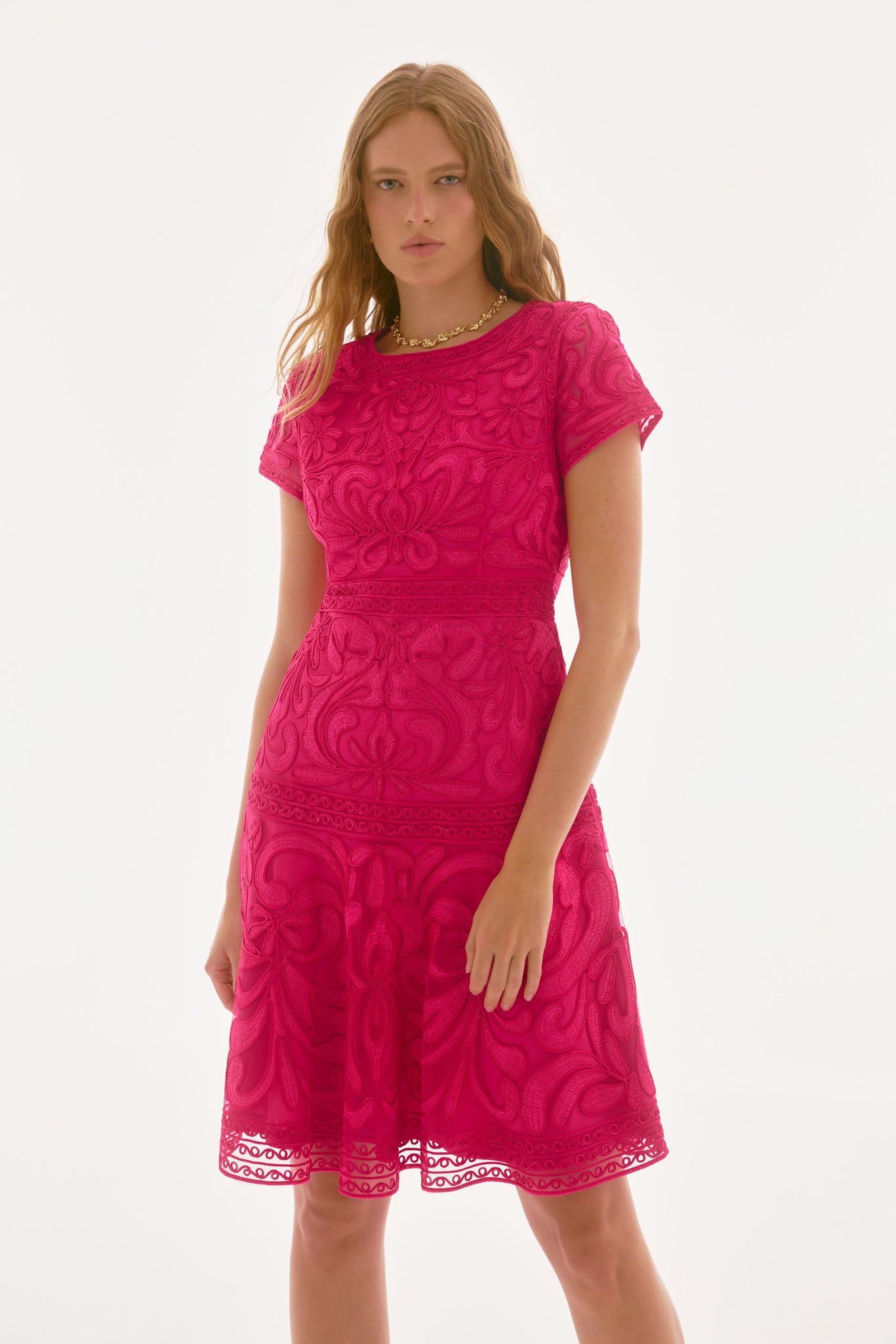 Embroidered Mesh Fit and Flare Dress