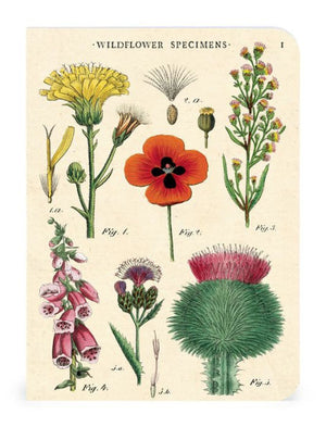 Cavallini & Co. Mini Notebooks | Wild flowers