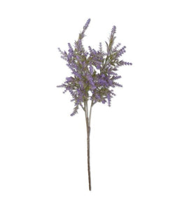 Lavender Home Decor